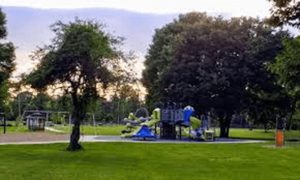 Playing in the Park